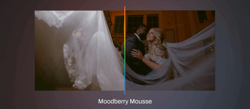 How to Use AI Styles In Aftershoot EDITS AI Style: moodberry mousse