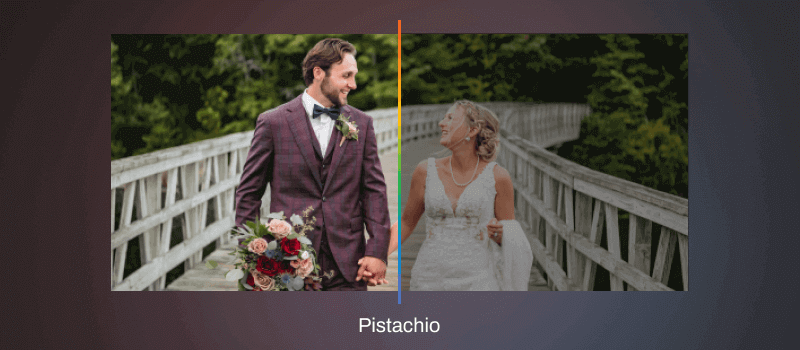 How to Use AI Styles In Aftershoot EDITS AI Style: Pistachio