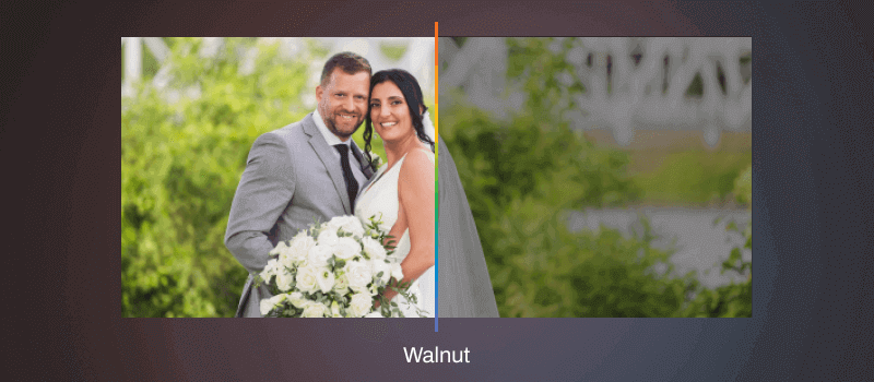 How to Use AI Styles In Aftershoot EDITS AI Style: Walnut