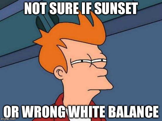 Aftershoot Update: Unleashing the Power of Survey Mode & Perfecting Your Edits Meme about white balance