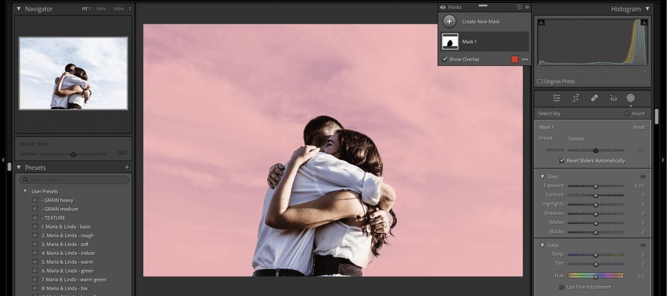 AI masking in Lightroom adaptive presets