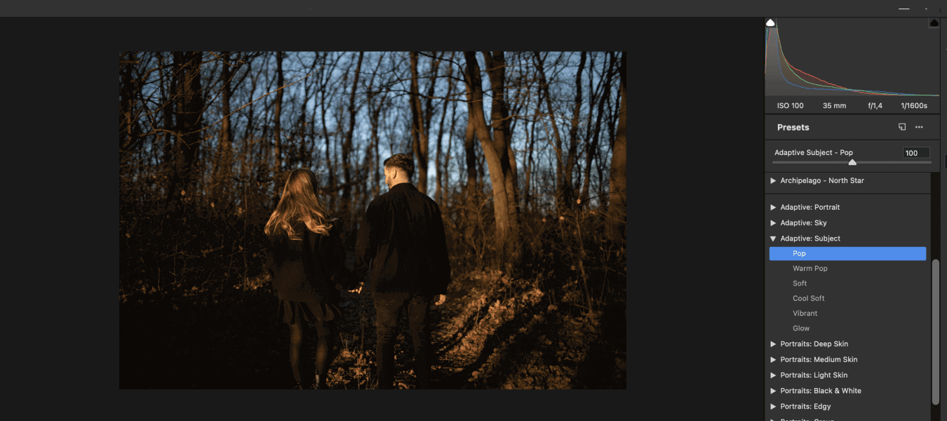 What are AI Presets? Your Ticket to Effortless Photo Editing In 2024 Adobe Camera Raw filter in Photoshop
