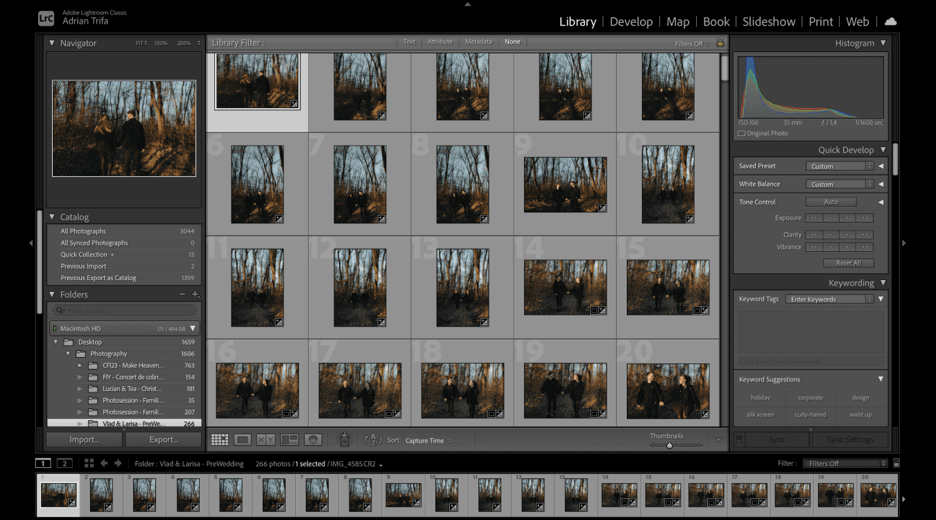 Lightroom Catalogs 101: Organize, Optimize, and Thrive Lightroom image previews