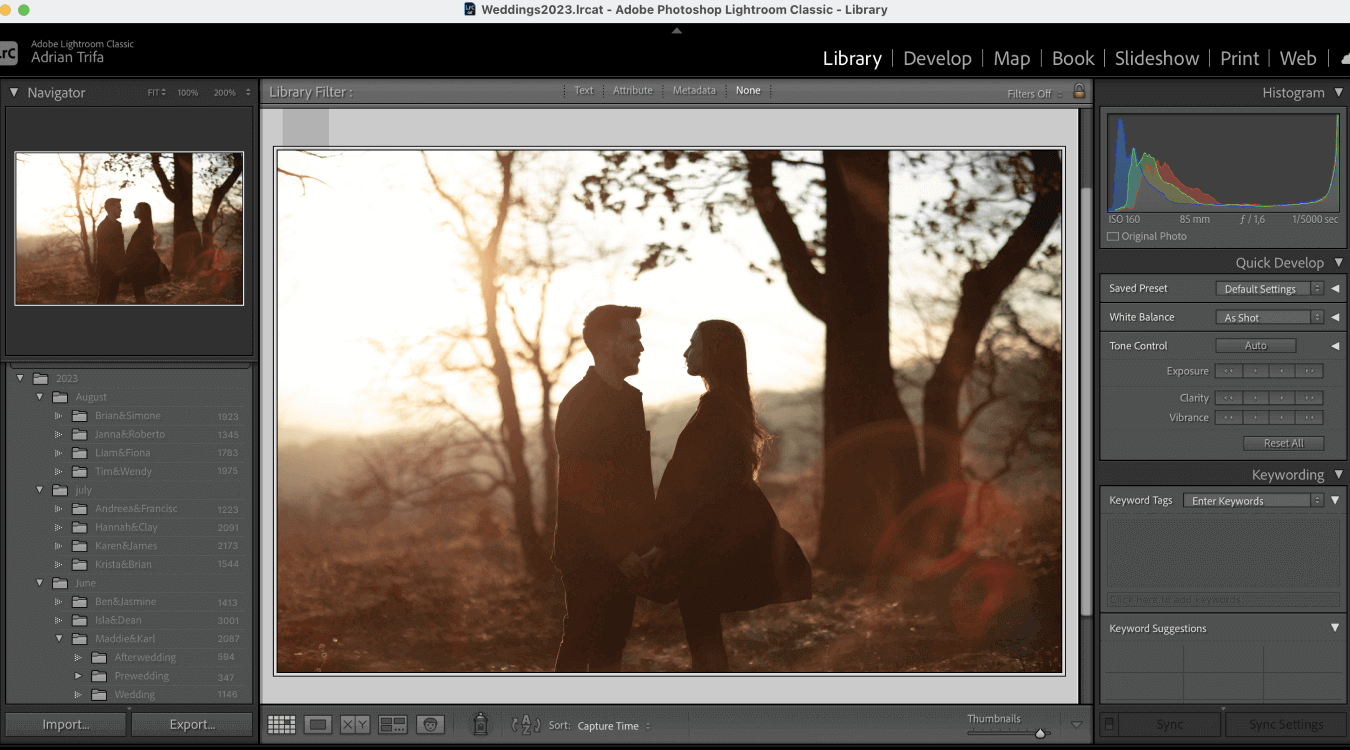 Lightroom Catalogs 101: Organize, Optimize, and Thrive Example of good Lightroom catalog management