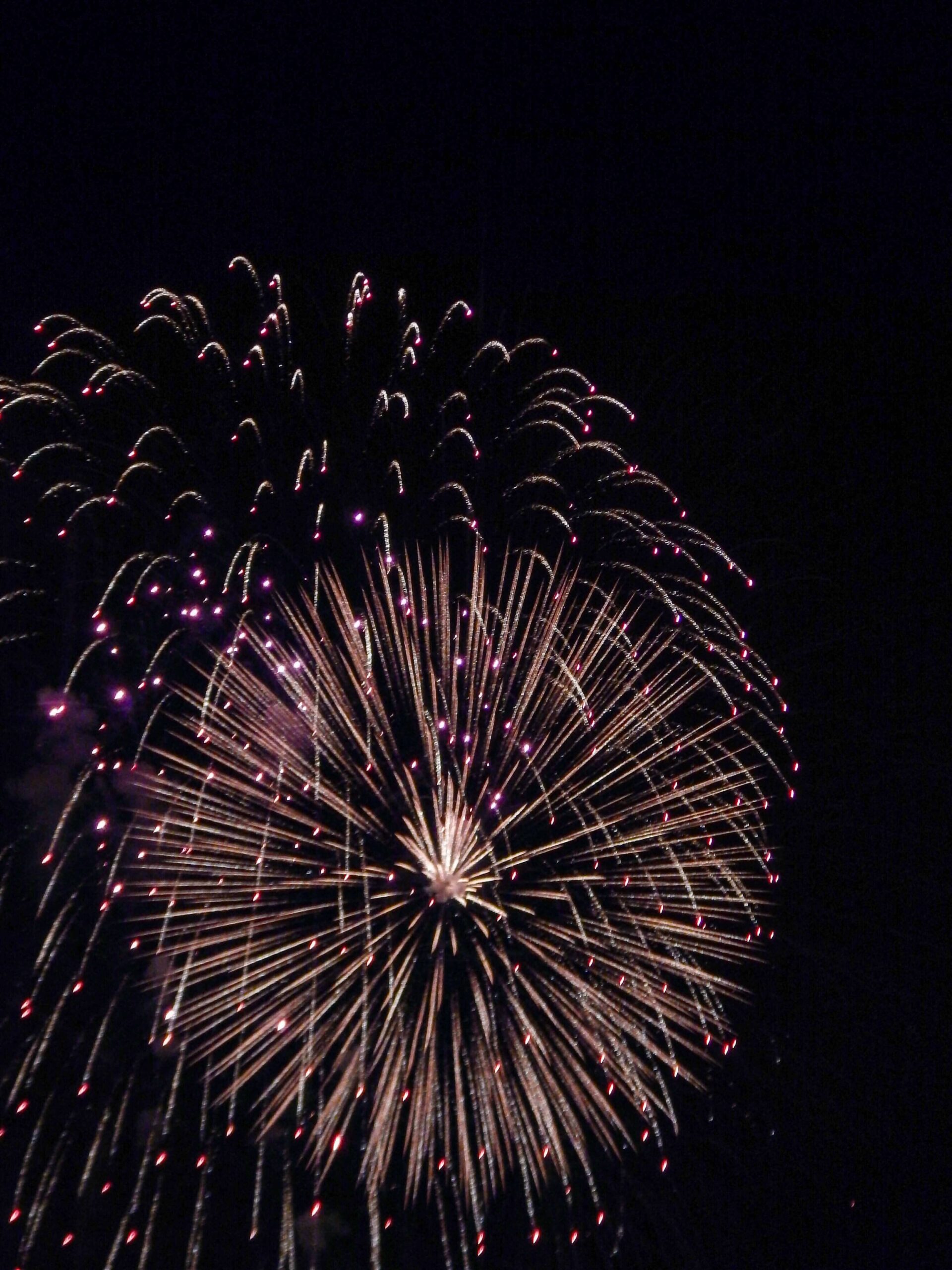 How to Photograph Fireworks: A Guide for the Professionals Fireworks photography by Boglárka Bicsák