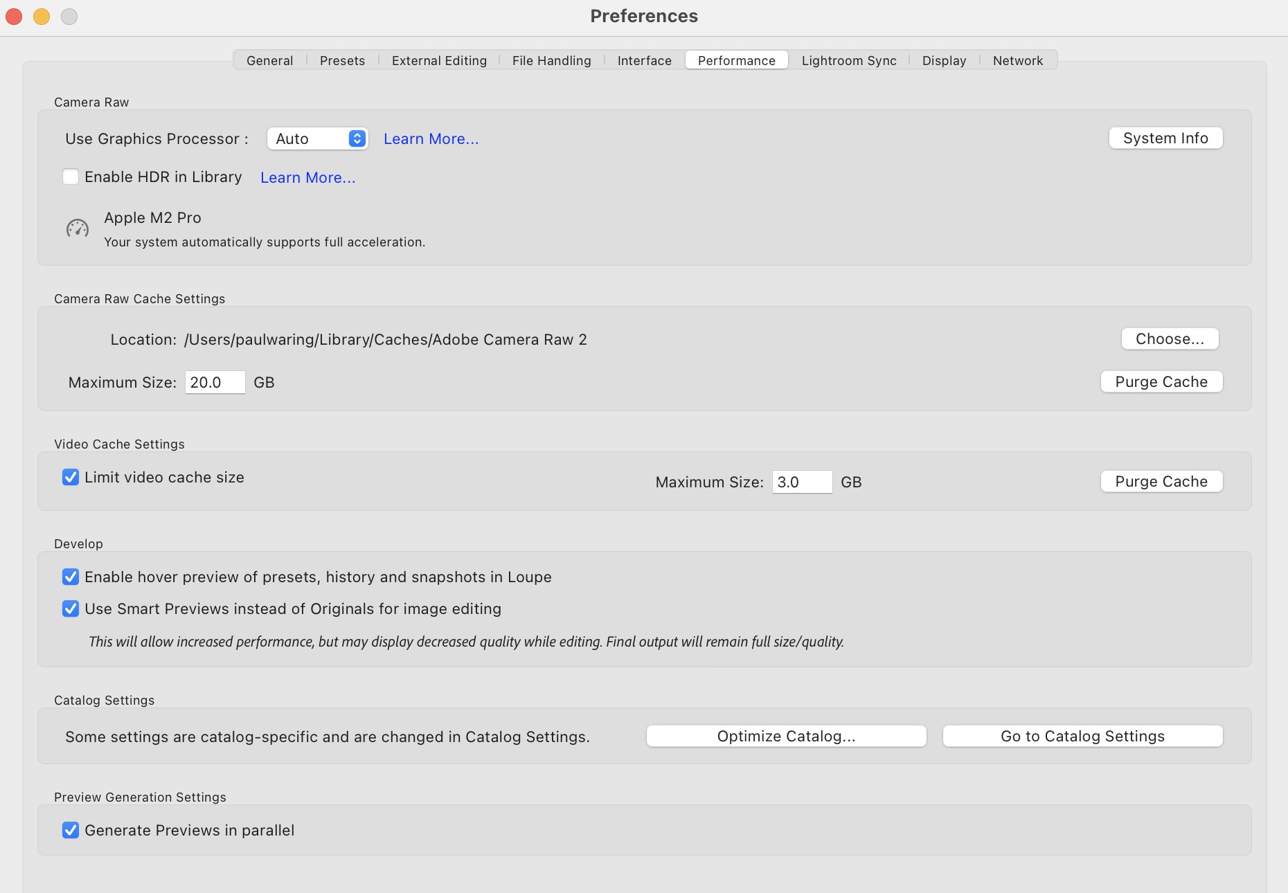 How to Cull Photos in Lightroom: Organize Like a Pro Smart Preview settings in Lightroom