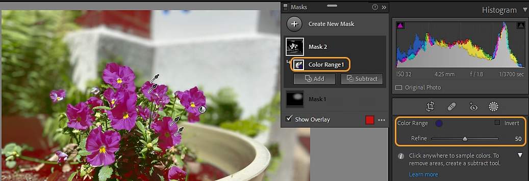 AI Masking in Photo Editing: Which Tool Should Photographers Use? Color range masking