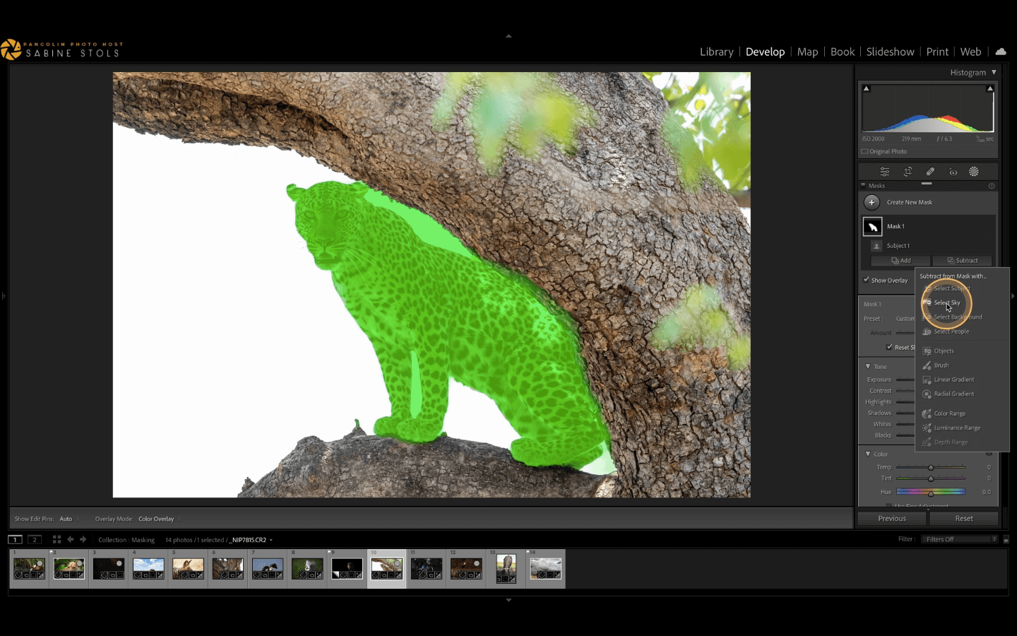 AI Masking in Photo Editing: Which Tool Should Photographers Use? AI masking in Lightroom