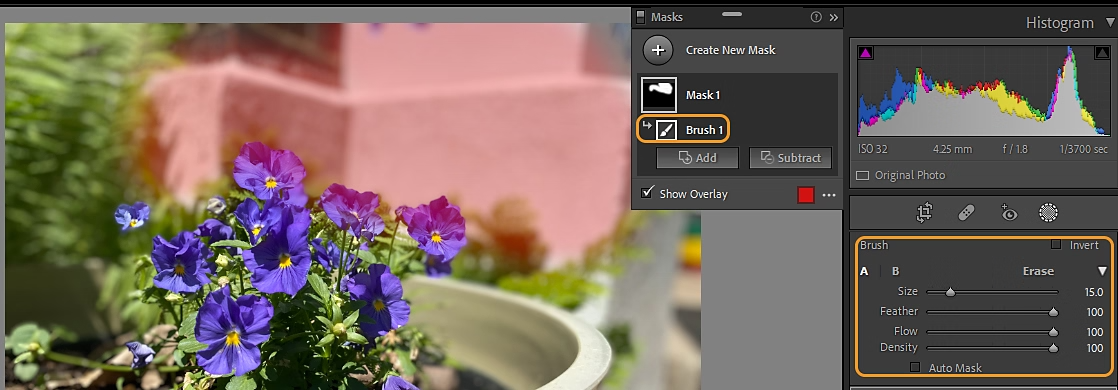 AI Masking in Photo Editing: Which Tool Should Photographers Use? manual masking