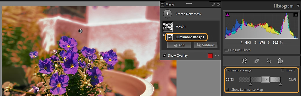 AI Masking in Photo Editing: Which Tool Should Photographers Use? Luminosity masking