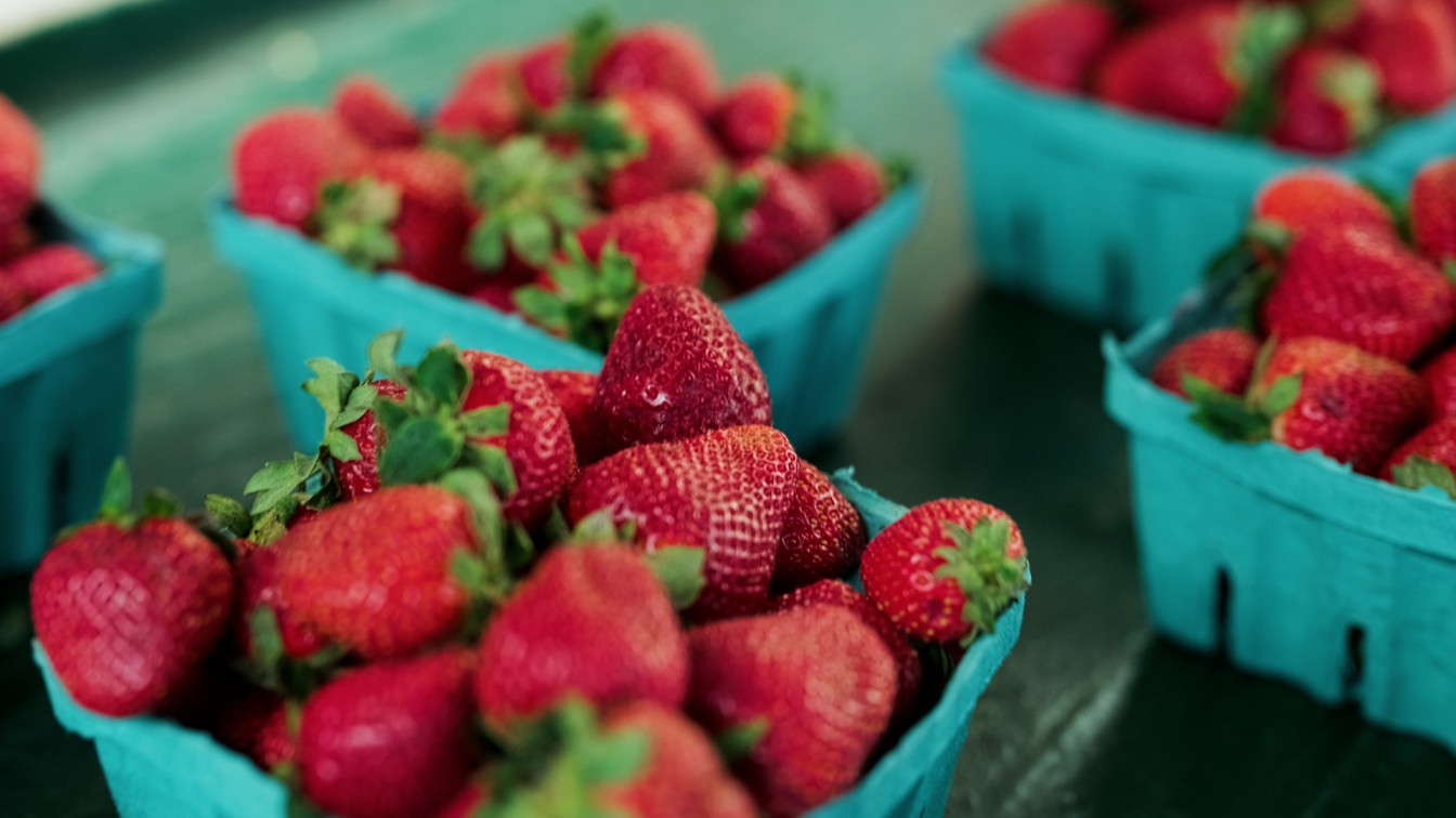 Understanding LUTs: A Complete Guide for Photographers