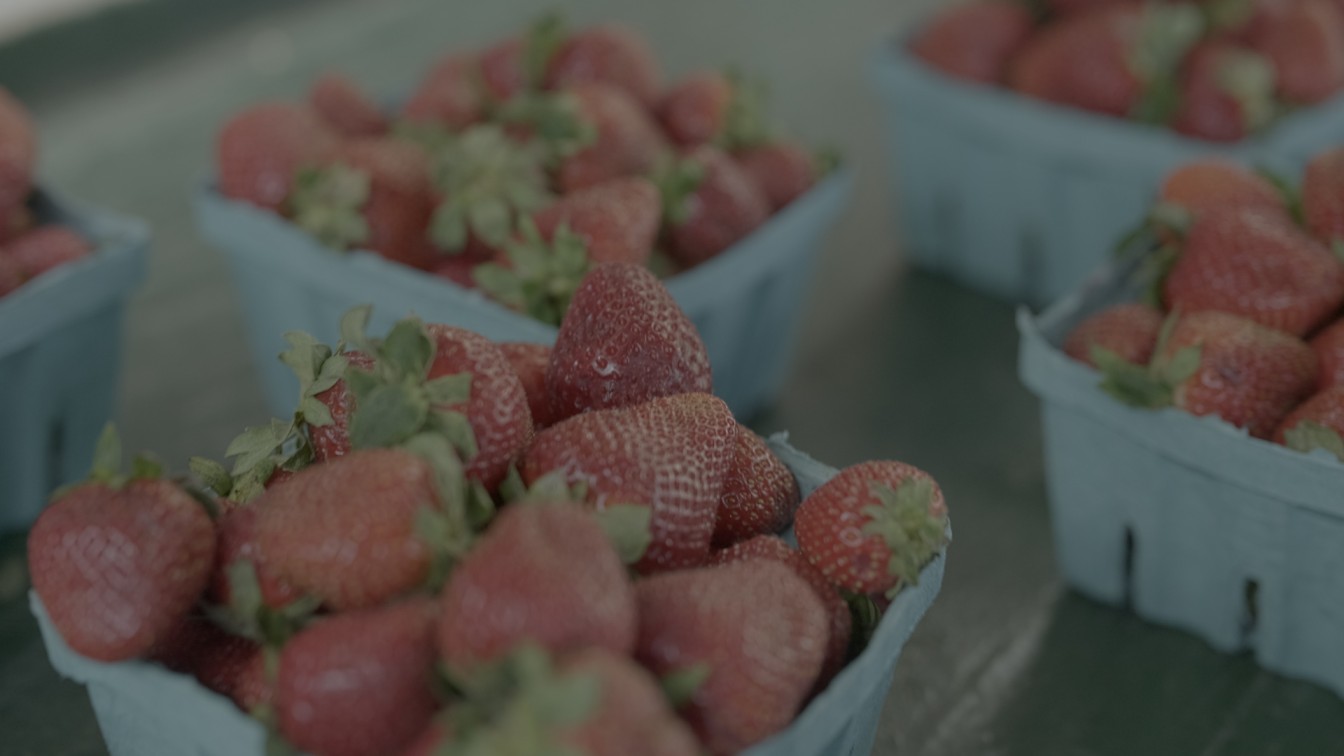 Understanding LUTs: A Complete Guide for Photographers