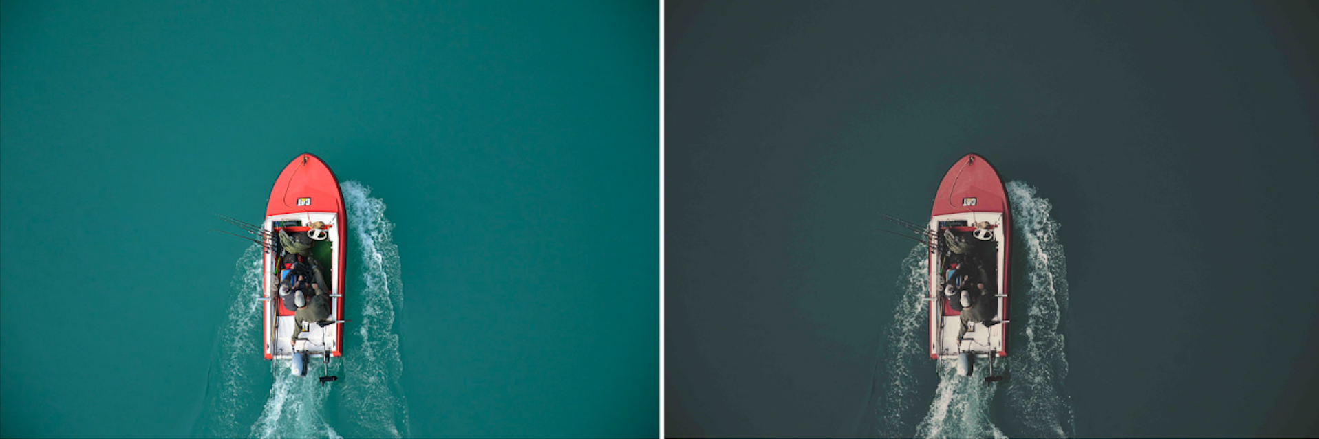 Understanding LUTs: A Complete Guide for Photographers photo lut example