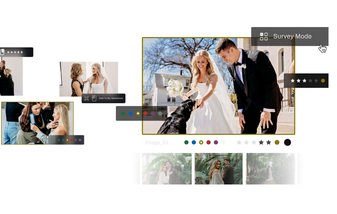 Built for Speed, Not Complexity