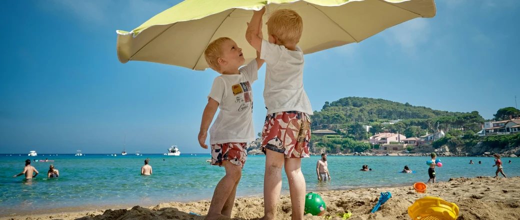 object-removal-before