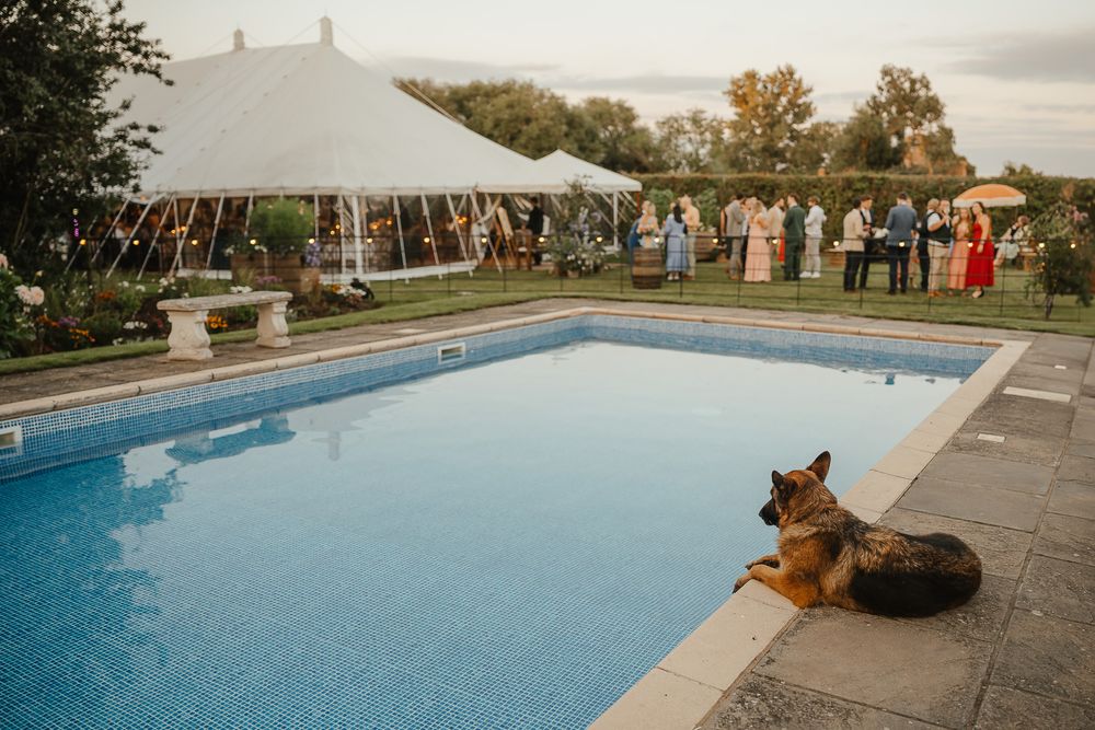 documentary wedding shot showcasing the setting
