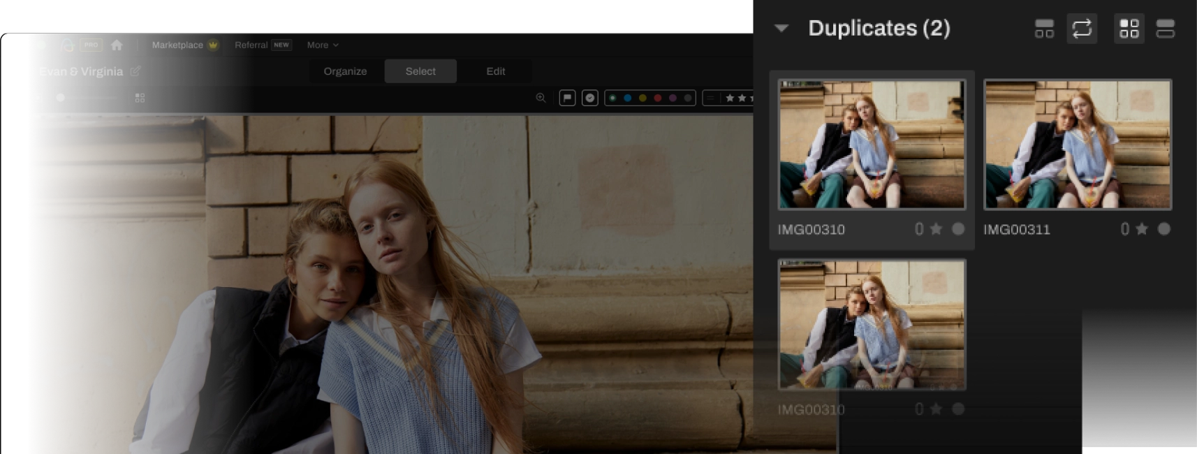 group duplicates visual image